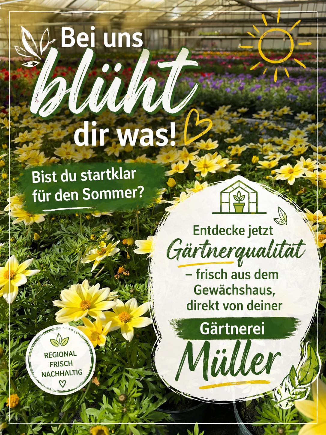sommer2026